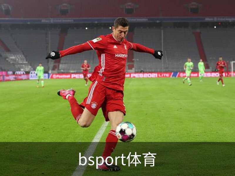 关于bsport体育